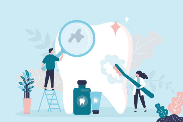 Best Preventive Dentistry  in Graniteville, SC
